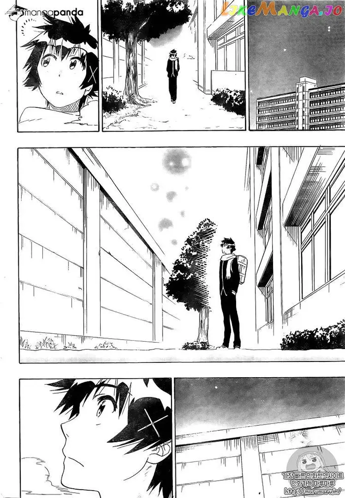 Nisekoi Chapter 228 image 17_optimized